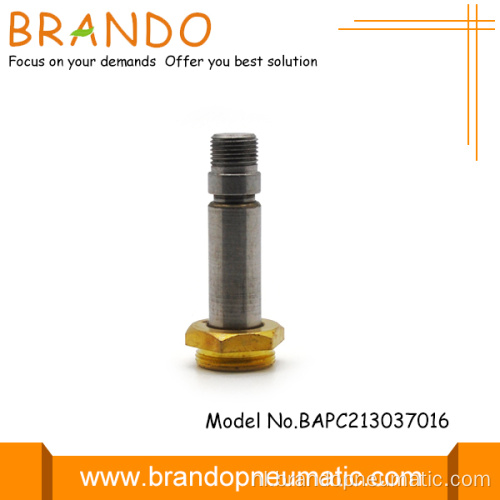 Auto Drain Valve solenoïde ventiel onderdelen solenoïde plunjer